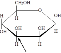 What is the number of the carbon indicated by the arrow in the following image of a monosaccharide?   A)  1 B)  2 C)  3 D)  4 E)  5 F)  6