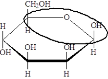 What is the name of the functional group enclosed in the oval in the following structure?   A)  acetal B)  glycoside C)  hemiacetal D)  ether
