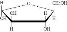 Examine the following structures.   Fill in the blanks with the appropriate term from the list below.  arabinose idose fructose -___________________ is an enantiomer of the following molecule.  