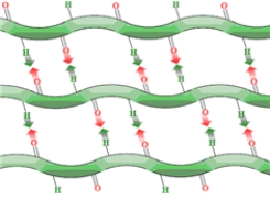 The following is an example of a secondary protein structure.  
