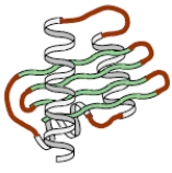 Consider a protein at 25 °C which is heated to 48 °C then cooled back to 25 °C. The following shows schematically the protein structure at these three temperatures, respectively.       25 °C   48 °C   25 °C Based on this information, the enzyme activity will return at the final temperature (25 °C).