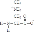 The amino acid shown below maybe associated with ALS (Lou Gehrig's disease)  and Parkinson's disease.   Which of the following is the zwitterion ion form of the uncommon amino acid? A)    B)    C)    D)   