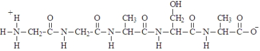 What is the three-letter representation for the peptide given below?   A)  Ala-Ser-Ala-Gly-Gly B)  Gly-Gly-Ala-Ser-Ala C)  Gly-Ala-Ser D)  Gly-Ala-Ser-Ala
