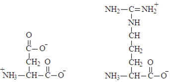 What type of interaction would occur between the side chains of the two amino acids shown below?   A)  ion-ion attraction B)  disulfide bridge C)  hydrophobic interaction D)  hydrophilic interaction