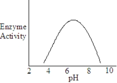 The following represents the results of an experiment on a metabolic enzyme.   What is the optimum pH of this enzyme? A)  3.0 B)  5.5 C)  6.5 D)  9.5