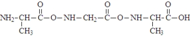 When three molecules of the amino acid alanine, shown below, react   the polymer segment formed would be:  