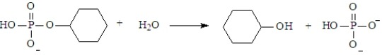 The following type of reaction is utilized by biological systems in obtaining large amounts of energy from food.  