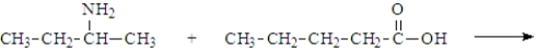 What is the organic product of the following reaction if carried out at 110 °C?   A)    B)    C)    D)    E)   