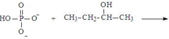 Predict the products of the following reaction. Assume the pH is 7.   A)    B)    C)    D)    E)  Both a and d could form at pH 7.