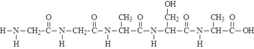 When the following segment of a polymer formed, how many different amino acids were used?   A)  1 B)  2 C)  3 D)  4 E)  5