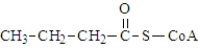 The following compound contains a thioester bond.  