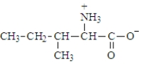The structure of isoleucine is   The zwitterion form of the amino acid isoleucine is  