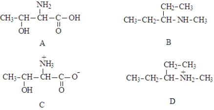 Consider the following nitrogen containing compounds.   Fill in the blanks with the appropriate letter (A, B, C, D). -Structure___________________ contains an amino group.