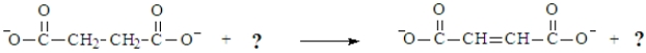 Consider the following biochemical reaction.   To complete the reaction, which redox coenzymes should be used to replace the question marks, respectively? A)  FAD, FADH<sub>2</sub> B)  NAD<sup>+</sup>, NADH C)  NADP<sup>+</sup>, NADPH D)  Any of the above could be used.