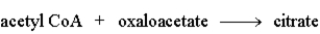 The following is a summary of the steps found in the metabolic pathway known as the Citric Acid Cycle. Step 1:   Step 2:   Step 3:   Step 4:   Step 5:   Step 6:   Step 7:   Step 8:   Fill in the blanks in the following question with the appropriate term from the list below. oxaloacetate oxidation citrate reduction isocitrate consumes a-ketoglutarate produces succinyl-CoA NADH succinate FAD fumarate NADPH malate -The following reaction shows the structures of the species involved in Step 8.   This step would also involve the coenzyme _________________ as a product.
