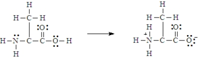 Below is the structure for the amino acid alanine.   Alanine can undergo an internal acid-base reaction.   In this reaction, the -NH<sub>2</sub> group functions as a base.