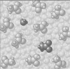 Consider the image which depicts the reaction between CH<sub>3</sub>COOH and H<sub>2</sub>O. Reactants: Products:     If the composition of the equilibrium mixture is as represented below   CH<sub>3</sub>COOH is classified as A)  strong electrolyte B)  weak electrolyte C)  nonelectrolyte