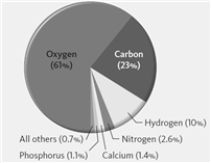 The pie chart shown below represents the elemental composition of the human body including water.  