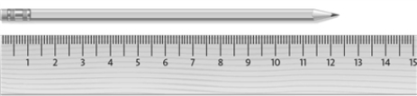 Consider the image below.   The smallest division on the ruler is a cm.
