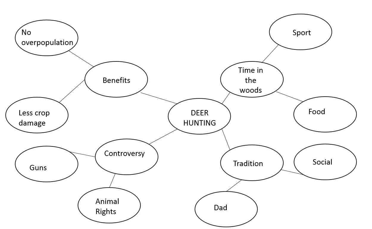 Select the answer that correctly identifies each type of prewriting.   This prewriting is an example of A)  focused freewriting. B)  brainstorming. C)  clustering.
