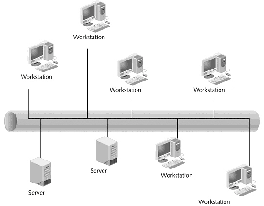   If a network administrator wants to use host-based intrusion detection, which devices in the figure above would need to be configured? A)  Only the workstations B)  Only the servers C)  All workstations and servers D)  None of the workstations or servers