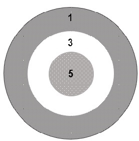 You will throw 5 darts in a game. The bull's-eye has a value of 5. The middle circle has a value of 3, and the outer circle has a value of 1. In your game, each dart hits and sticks to the board.      (a)What is the highest score you could have in your game?  (b)The lowest score?  (c)What other scores could you have?  (d)Is there anything unique about scores for this 5-dart board?  (e)Identify your strategy or strategies and explain how you used them.  This rubric will be used to evaluate your work on this task. Credit will be awarded on a 4-point scale.    