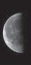   What is the phase of the Moon shown in the above image? A)  third quarter B)  first quarter C)  waxing gibbous D)  waning gibbous