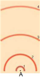   In the above model of an atom, if you were to draw an electron's transition from the second excited state to the third excited state, what numbers would this correspond from/to? What kind of spectrum would be produced? A)  3 to 4, absorption B)  2 to 3, absorption C)  3 to 4, emission D)  2 to 3, emission