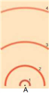    In the above model of an atom, draw a transition from the ground state to the first excited state. To draw this, draw the electron's motion as a line with an arrow to indicate direction and draw the photon as a wave with an arrow to indicated direction. Label the electron and photon. Label whether this is an absorption, emission, or continuous spectrum.