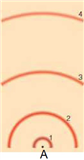    In the above model of an atom, draw a transition from the first excited state to the third excited state. Then draw a transition from the third excited state to the second excited state. Then draw a transition from the second excited state to the first excited sate. To draw these, draw the electron's motion as a line with an arrow to indicate direction and draw the photon as a wave with an arrow to indicated direction. Label the electron and photon. Label whether this is an absorption, emission, or continuous spectrum.