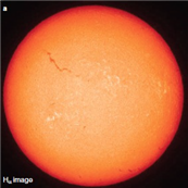   The squiggly dark line in the upper left quadrant of the Sun in the image above is called a ___________. A)  solar flare B)  prominence C)  sunspot D)  filament