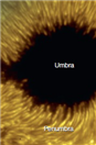    As shown in the above image, rising material is flowing from the penumbra and into the umbra where it sinks.