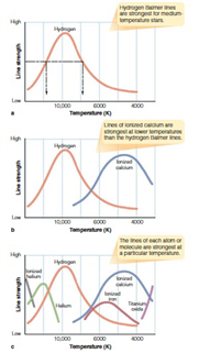   Which graphs of line strength and temperature would give the most precise value of the star's surface temperature? A)  a B)  b C)  c D)  All of the graphs would yield the same precise result.