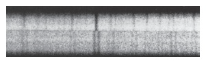   As shown in the above spectra, which is taken at two different times, a ________ is concluded. A)  visual binary B)  eclipsing binary C)  spectroscopic binary D)  single star