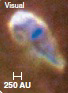   The above image is an example of a ________. A)  protostellar disk B)  YSO C)  protostar D)  Herbig-Haro object