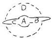 In the edge-on sketch of a spiral galaxy, pick the letter corresponding most nearly to the location of globular clusters.   A)  A B)  B C)  C D)  D
