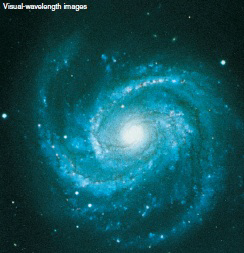  The galaxy shown above is ___________. A)  a grand design B)  a flocculent C)  in between a grand design and a flocculent D)  the Milky Way galaxy