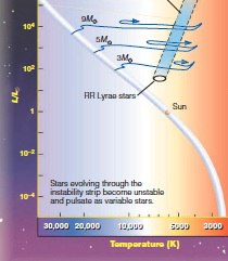    ​  M dwarf main-sequence stars pass through the instability strip as shown above.