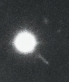   This star-like radio-quiet object shown above in visual wavelengths is actually a/an _____________. A)  elliptical galaxy B)  spiral galaxy C)  Seyfert D)  quasar