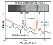   The red line shown above is shifted 15.8% from the blue dashed line. If H<sub> β </sub> is 486.1 nm, what is the change in the wavelength? A)  562.9 nm B)  76.8 nm C)  486.1 nm D)  409.3 nm