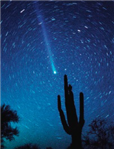   In the above photo, where is the Sun located? A)  not shown but above the cactus B)  not shown but to the right of the cactus C)  not shown but below the cactus D)  not shown but to the left of the cactus