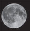   The dark features on the Moon as shown in the above photo are _________________. A)  mare B)  craters C)  the man on the Moon D)  maria