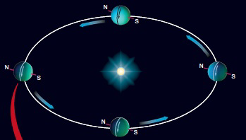   In which corner of the figure above is Uranus moving from fall to winter in the southern hemisphere? A)  upper left B)  upper right C)  lower left D)  lower right