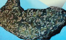   In the above picture, a _______ meteorite that has been cut and polished shows both rock and iron. A)  stony B)  stony-iron C)  iron D)  chondrite