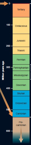  Using the above timeline, when did the Cambrian explosion occur? A)  500 million years ago B)  600 million years ago C)  540 million years ago D)  670 million years ago