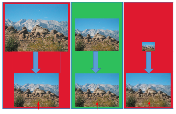   Referring to the figure above, which figure is displayed at its native length and width? A)  lower-left image B)  lower-middle image C)  lower-right image D)  none