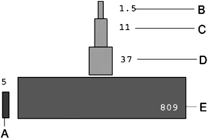 Match the following letters of a biomass pyramid of a lake with the statements below.      -large-mouth bass ​