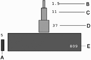     Second-level consumers are represented by the letter ____.