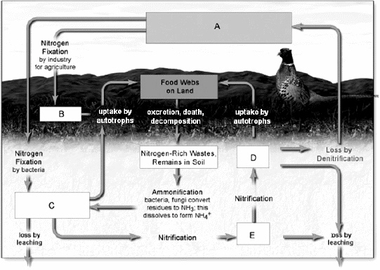     Fertilizers are represented by the letter ____.