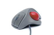       The devices shown in the accompanying figure are all ____ devices. A)  output B)  pointing C)  recording D)  storage